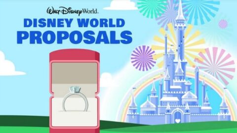 Did You Have a Magical Engagement at Disney World?