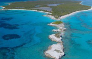 Disney Cruise Line Releases Website for Lighthouse Point