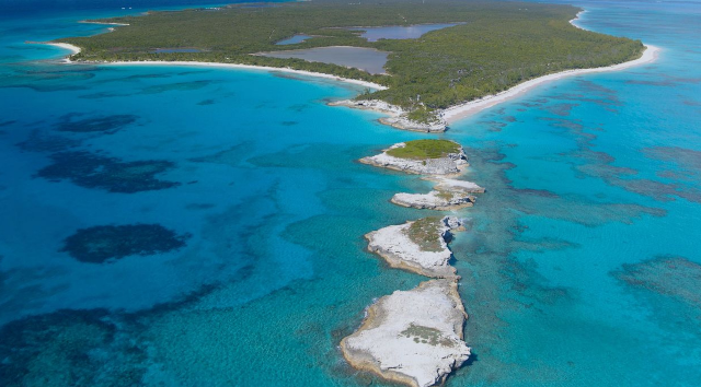 Disney Cruise Line Releases Website for Lighthouse Point