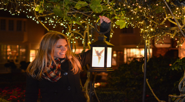 Updates to PhotoPass Procedures: Props, Social Distancing, and More