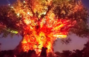 Another Animal Kingdom After Hours Event Sold Out