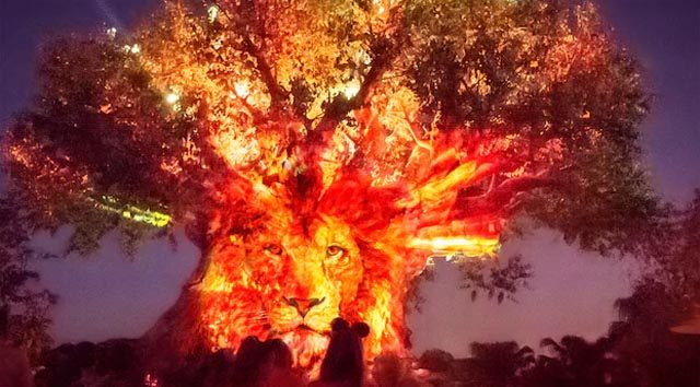 Another Animal Kingdom After Hours Event Sold Out