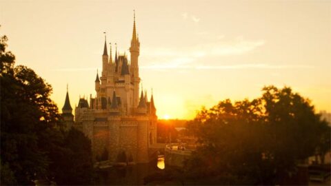 Concerns over Cinderella Castle Makeover Clarified
