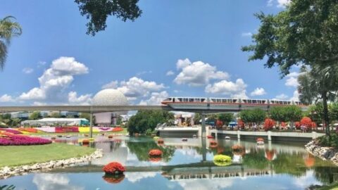 The Monorail: Disney World’s best form of transportation!