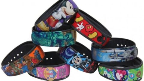 MagicBand Orders Temporarily Stopped