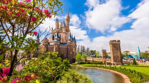 UPDATE: Japan Declares State of Emergency – Tokyo Disney to Remain Closed Until May