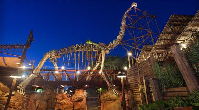 Florida Man on Drugs Charged with Attacking Guard at Animal Kingdom