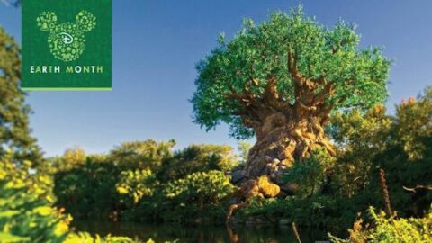 Celebrate Earth Day With Disney’s “Magic Through Nature”