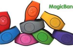 Disney-fy Your Downtime: What to do with your Leftover MagicBands