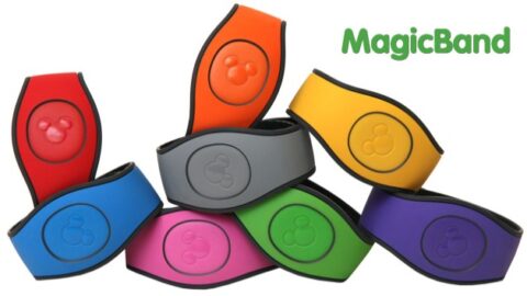 Disney-fy Your Downtime: What to do with your Leftover MagicBands