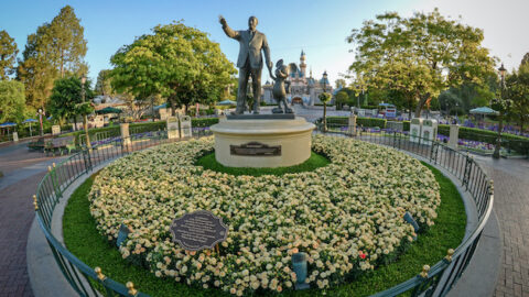 Free Photo Downloads from Disneyland Now Available