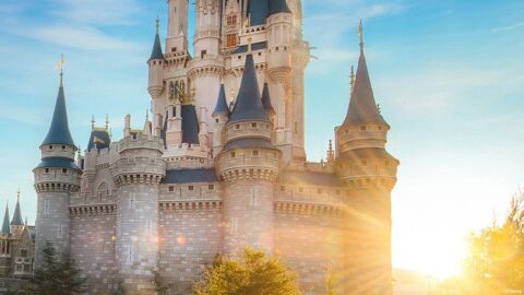 News: Disney Releases Disney Parks Virtual Backgrounds