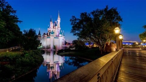 Breaking: Walt Disney World Will Begin Presenting Reopening Plans and Dates to Orange County Recovery Task Force