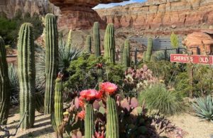 Popular Disney "Land" attractions to close for refurbishment