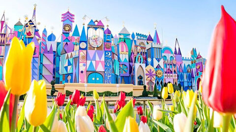 Poll: What is the most iconic Disney smell?