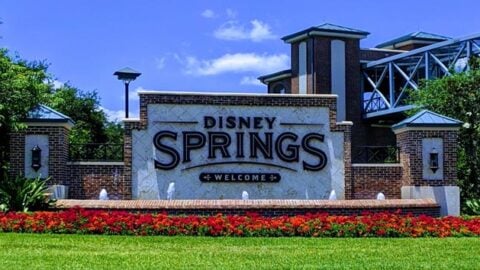 Several Disney Springs Restaurants  Remove Menu Items for Reopening
