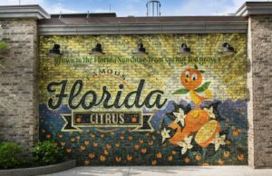 Disney Cancels Dining Reservations for Disney Springs Restaurants Despite Reopening