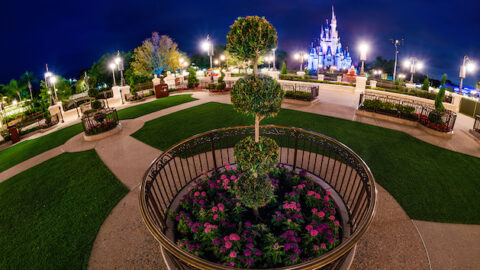 Who Will Get Access to the New Disney World Reservation System First?