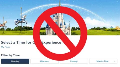 Disney Temporarily Suspends FastPass System