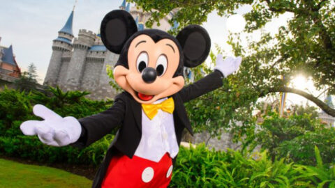 Disney World Will Submit Reopening Plans Soon!