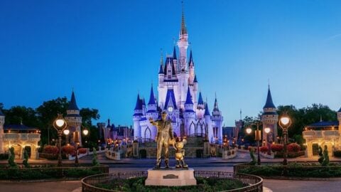 Step By Step Guide To Create Disney Park Reservations, Plus Limits for the Time of Day Guests can Enter