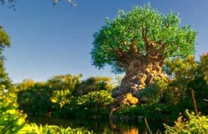 Disney Extends Expiration Date On Unused Tickets