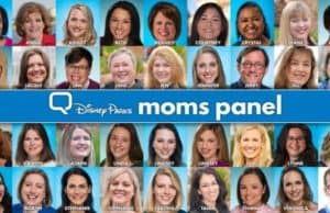 Disney Parks Mom Panel Search Suspended for 2020