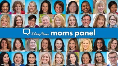 Disney Parks Mom Panel Search Suspended for 2020