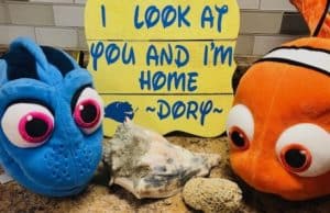 Dive Deep into the Ocean with a "Finding Dory" Movie Party!