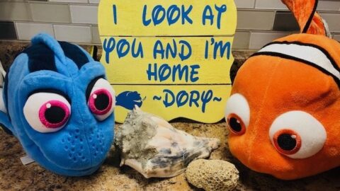 Dive Deep into the Ocean with a “Finding Dory” Movie Party!