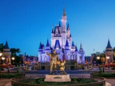 How to Check Which Disney Parks Have Availability Left for your Trip
