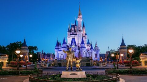 How to Check Which Disney Parks Have Availability for your Trip