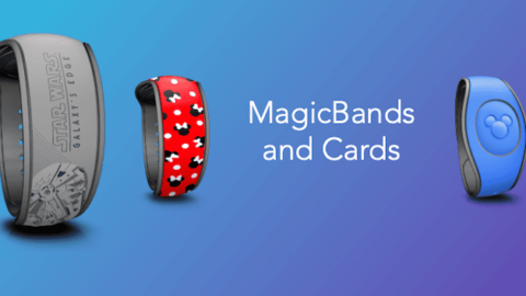 New Amazing MagicBands You Can’t Miss!