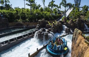 SeaWorld Opens Reservations, Will This System Be Similar For Disney Guests?