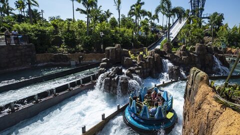 SeaWorld Opens Reservations,  Will This System Be Similar For Disney Guests?