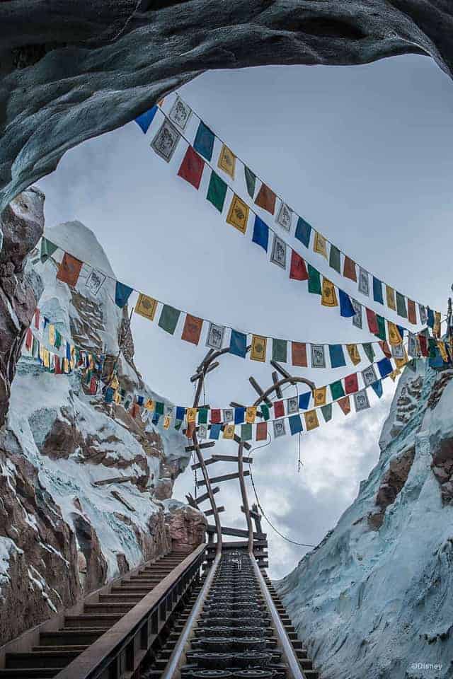 We may know why Expedition Everest has been closed for days at Disney World  