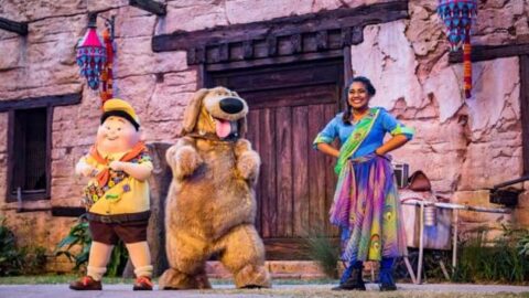 UP! A Great Bird Adventure Show will Reopen, Plus Where to Find No-Mask Seating Areas at Animal Kingdom