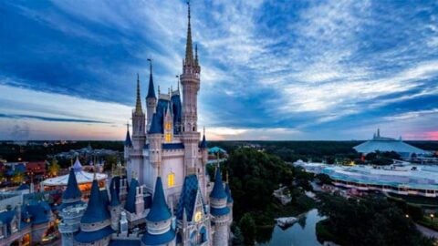 Florida Reports Close to 9,000 New Cases of COVID-19 within Weeks of Walt Disney World’s Reopening