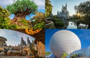 Disney Releases Complete List of Experiences Open at all Theme Parks