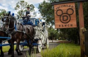 Disney World is bringing back more special experiences