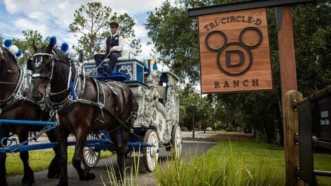 Disney World is bringing back more special experiences