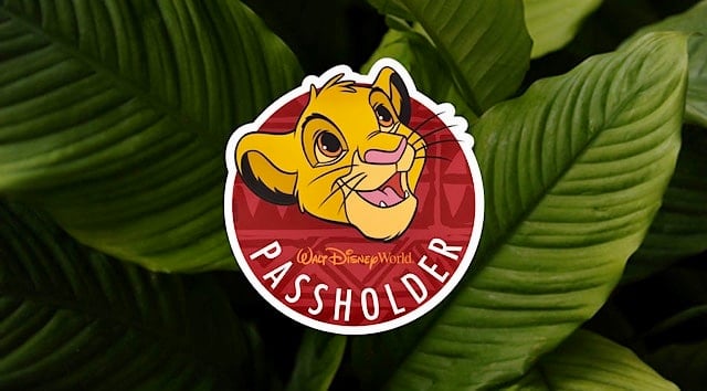 Disney World Gives Updated Information For Annual Passholder Preview