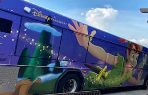 Photos: Mold growing inside Disney buses and the alternative option is not much better