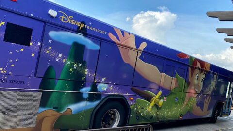 Photos: Mold growing inside Disney buses and the alternative option is not much better