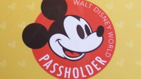 Extra Savings for Annual Passholders in Disney World
