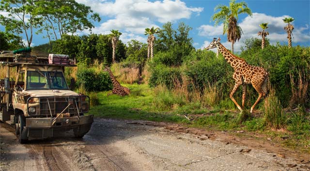 Guests Allowed to Remove Masks on Kilimanjaro Safari