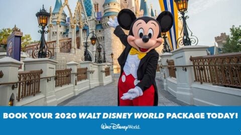 2020 Disney Resort Hotel Bookings and Theme Park Ticket Sales Resume today!