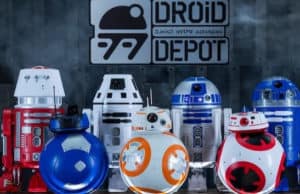 Select Experiences Open for All Guests at Walt Disney World Resort