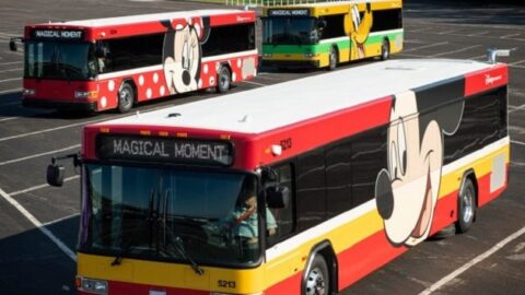 New Transportation Dates Provided for Walt Disney World