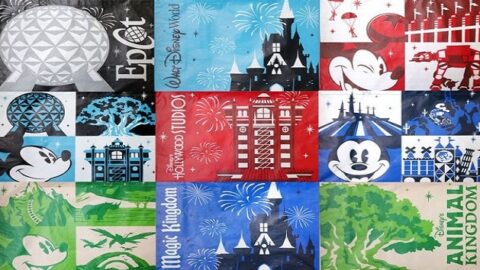 Price of Reusable Bags Reduced at Disney Springs